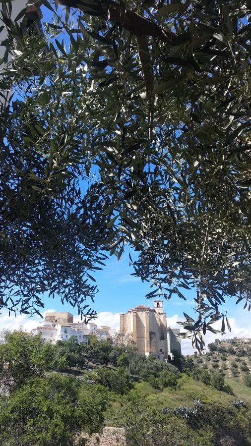 Apartamento El Carmen Setenil De Las Bodegas Exterior foto