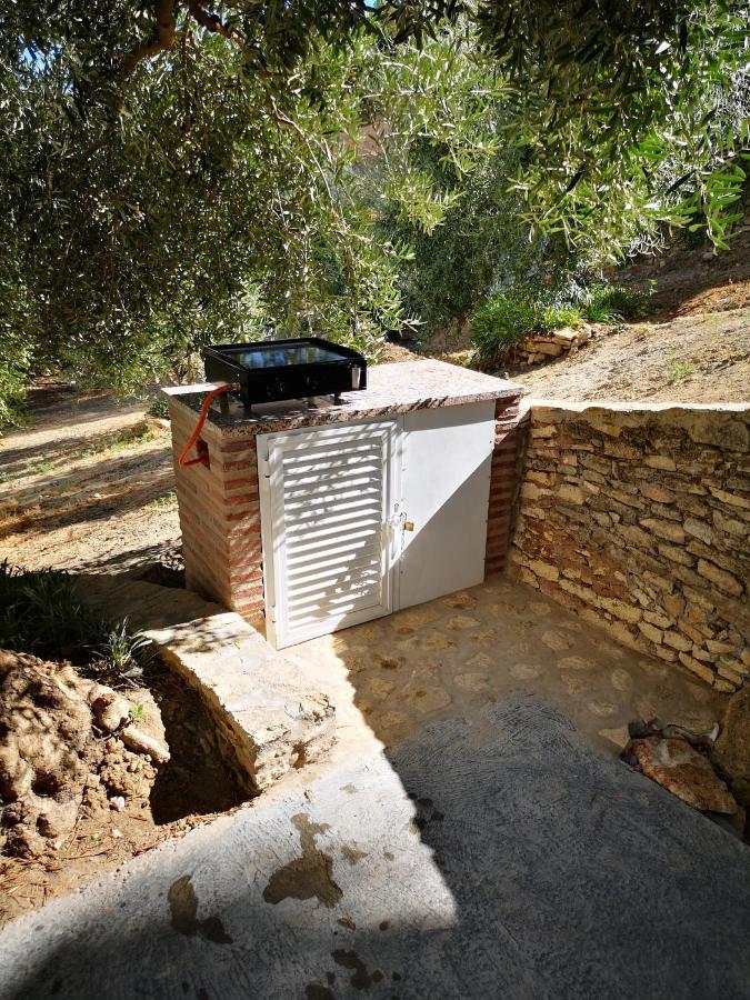 Apartamento El Carmen Setenil De Las Bodegas Exterior foto