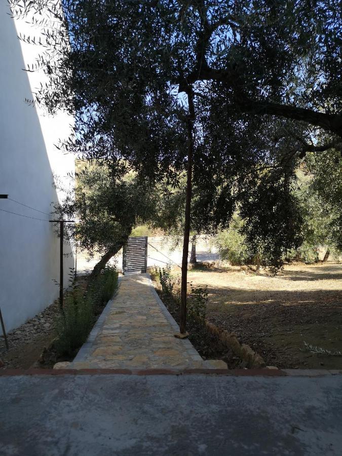 Apartamento El Carmen Setenil De Las Bodegas Exterior foto